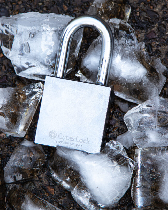 https___app-project-files.sfo3.digitaloceanspaces.com_46982_Cyberlock-on-ice_1748351932
